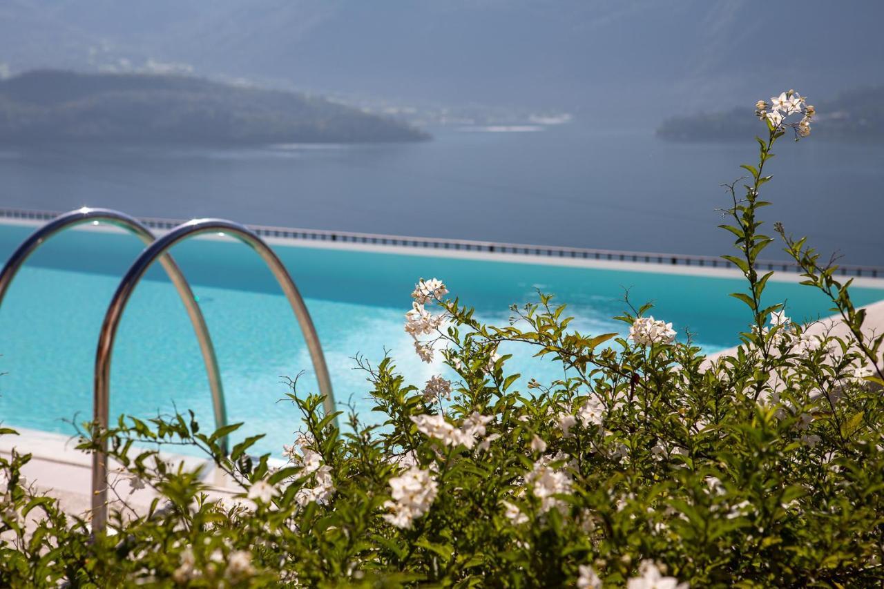 Residence Cafelicita - Promotion - Apartments Lake View - Infinity Pool - Jacuzzi Gravedona Exteriör bild